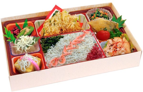 ★4/2 催行決定★【横浜発】春爛漫♪「三嶋大社」「身延山久遠寺」静岡しだれ桜二大名所を漫喫!&駿河湾名物しらすと桜海老ご飯のお弁当付き!3